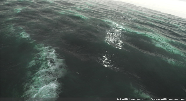 Working at Barco and OceanWaves