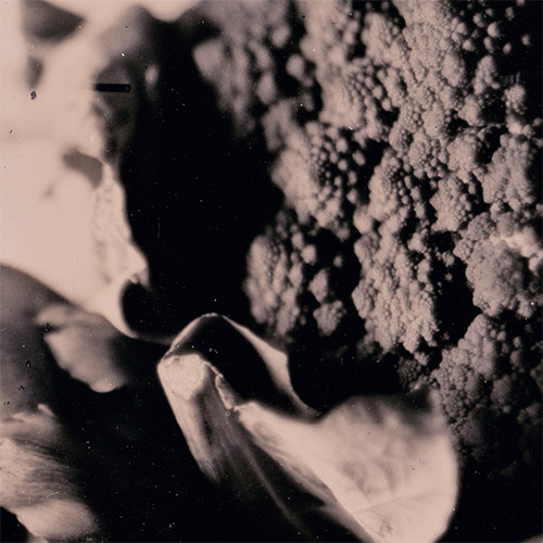 3cm x 3cm center crop — detail is acceptable but not suitable for enlargements
