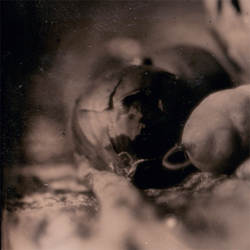 3cm x 3cm edge crop