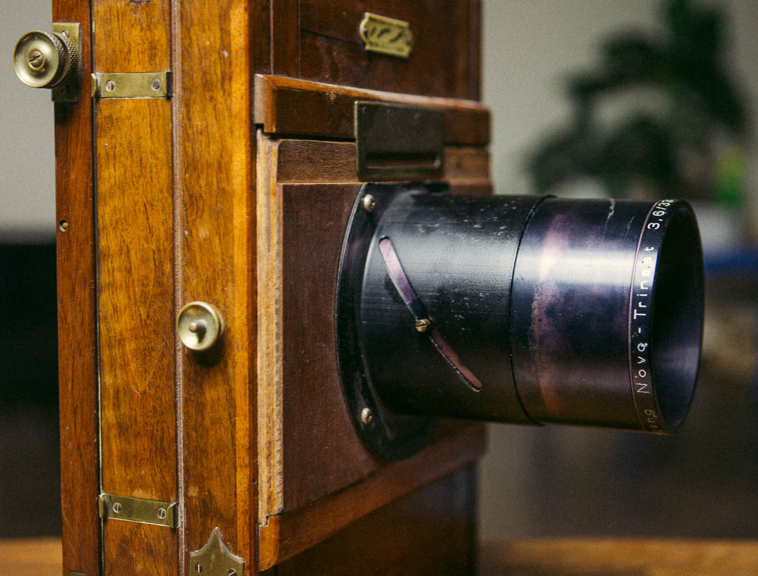 Some More "Lens Reviews"